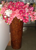 /album/mar-de-rosas-/dsc00074-jpg/
